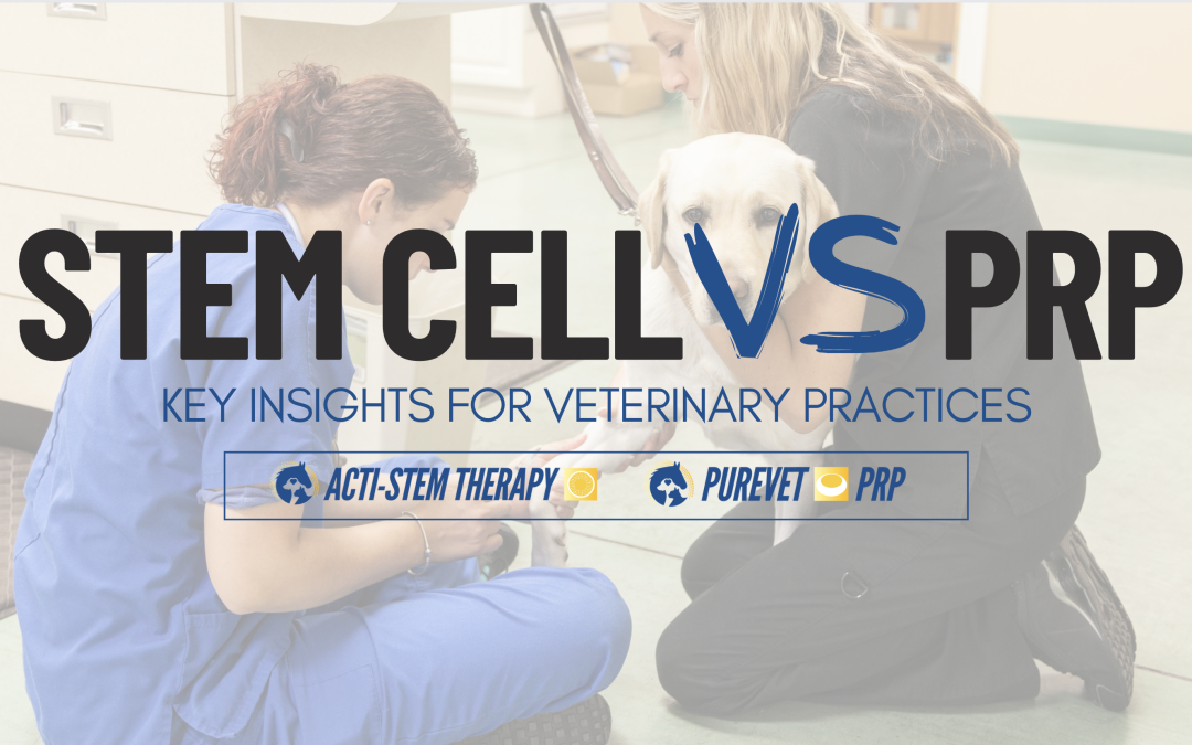 Stem Cell vs. PRP Therapy: Key Insights for Veterinary Practices